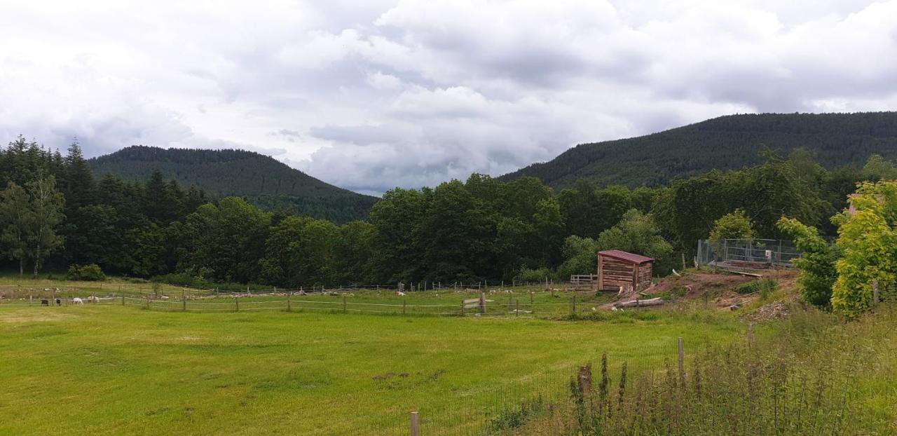 Domaine Des Cigogneaux Hotell Labaroche Exteriör bild